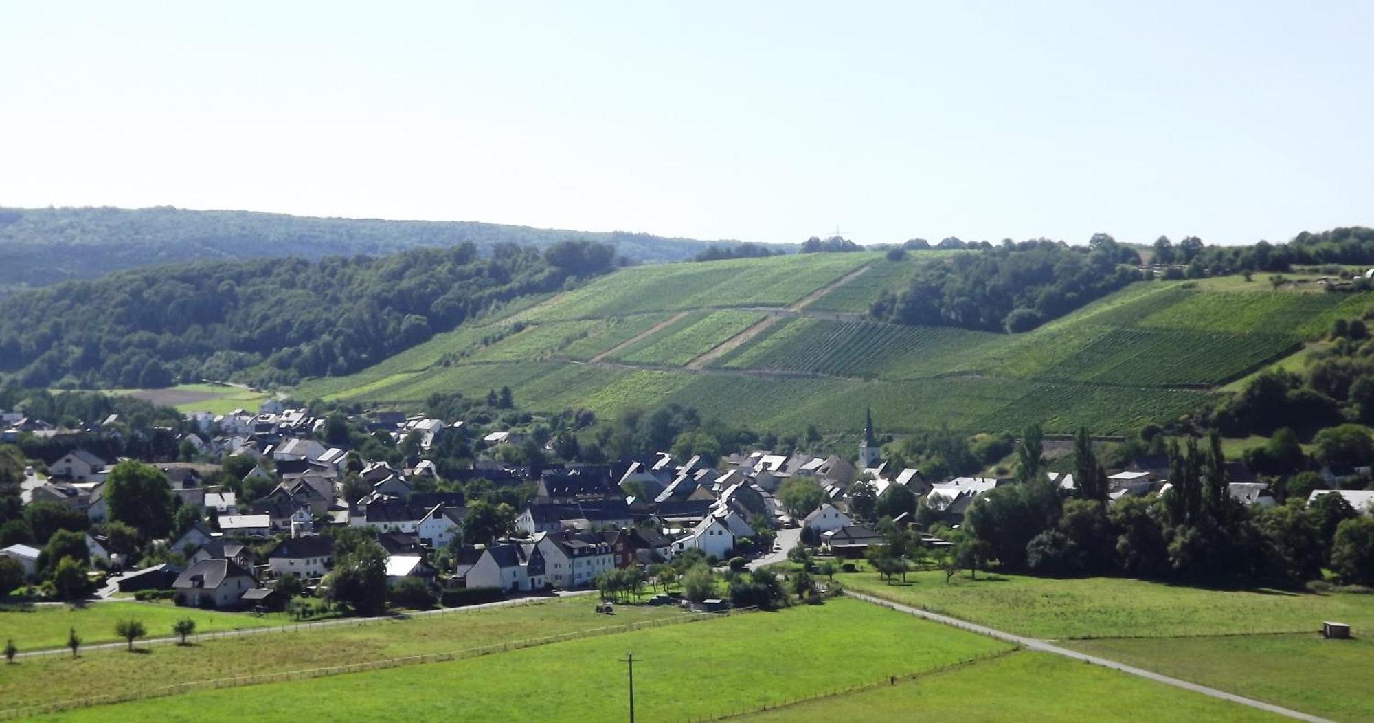 Ferienweingut & Gutsrestaurant Becker Apartamento Burgen  Exterior foto